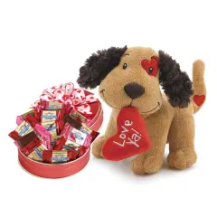 GBDS Lotsa Love Valentine Plush with Chocolates