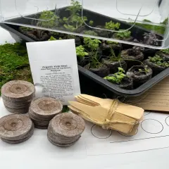 Mini Greenhouse - Grow 28 plants LARGE