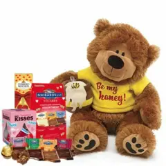 GBDS Be My Honey Bear & Chocolates Gift Set - Valentines day candy - Valentines day gifts