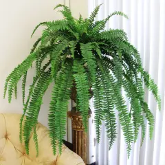82" Wide Boston Fern Plants - 2-Pack with 77 Silk Fronds, Indoor/Outdoor Decor, Ideal for Homes, Offices, or Events - Perfect for Year-Round Use, Floral Home by Artificial Flowers