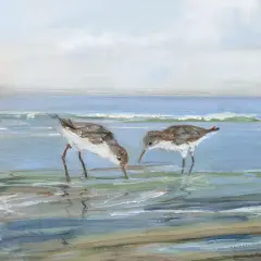 Seabird Beach II by Sally Swatland - Item # VARPDX44067