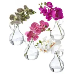 Phaleanopsis in Glass W Handle 9"