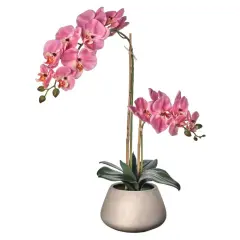 Real Touch Phalaenopsis Orchid in Cement Pot 24" Pink