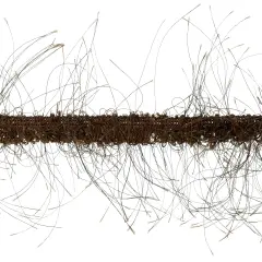 10 yards of Pippa Eyelash Fringe Trim | 10 yard cut Brown