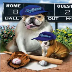 Sunsout Play Ball 300 pc Jigsaw Puzzle 28693