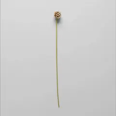 Summer EcoFaux Scabiosa Pincushion Artificial Flower by Bloomist