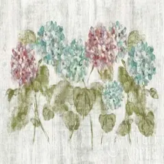 Vibrant Row of Hydrangea on Wood Poster Print byCheri Blum - Item # VARPDX19084