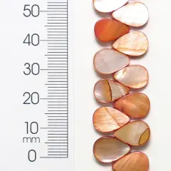 6 Packs of Tinted Shell Teardrop8 in Strand Pack of 2