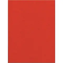 Kunin Presto Felt 9"X12"