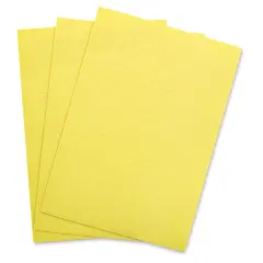 Masterson Sponge Insert Pack - 16" x 12", Pkg of 3