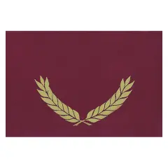 Gold Foil Stamped Maroon Certificate Folders, 10" x 13", Pack of 30