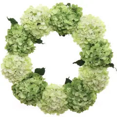 2-Pack: 24" Mixed Green Hydrangea Wreath with Grapevine Ring, Floral Home by Artificial Flowers