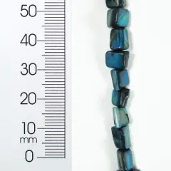 6 Packs of Tinted Shell Nugget Blue 2x8" Strand