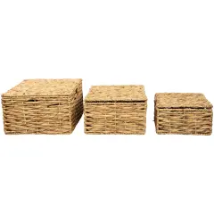 Northlight Set of 3 Camel Beige Woven Water Hyacinth Lidded Square Storage Baskets 15.5"