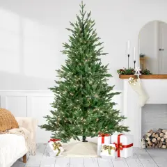 Northlight Real Touch&trade; Pre-Lit Medium Grande Spruce Artificial Christmas Tree - 6' - Clear Lights Green
