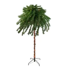 Northlight Pre-Lit Tropical Artificial Palm Tree - 4' - Clear Lights Green