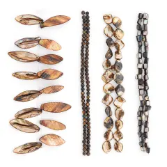 Delphine Sea Shell Beads Collection Value Pack