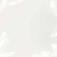 Great Papers! Soft Feathers Stationery Letterhead, Invitations and Announcements, Printer Friendly, 8.5"x11", 80 Pack