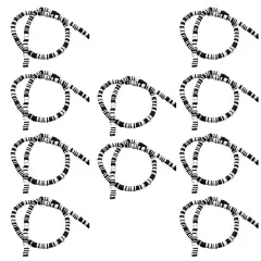 $product['description']['title']}