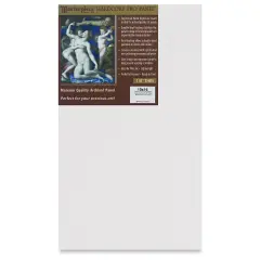 Masterpiece Santa Cruz Hardcore Pro Canvas Panel - 10" x 16"