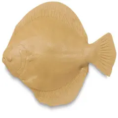 Gyotaku Fish Printing Replica - Flounder
