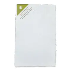 Shizen Professional Watercolor Paper - 12" x 18", Cold Press/Rough, Pkg of 5 Sheets