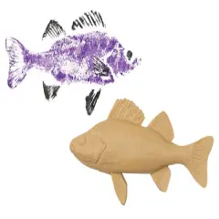 Gyotaku Fish Printing Replica - Perch