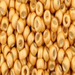 Toho 8/0 Round Japanese Seed Bead, TR8-557F, Matte Galvanized Gold