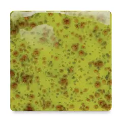 Mayco Jungle Gems Crystal Glaze - Pistachio, Pint