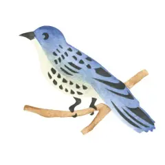 Bluebird Wall Stencil | 454 by Designer Stencils | Animal & Nature Stencils | Reusable Art Craft Stencils for Painting on Walls, Canvas, Wood | Reusable Plastic Paint Stencil for Home Makeover | Easy to Use & Clean Art Stencil