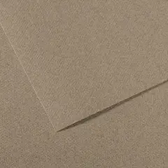 Canson Mi-Teintes Drawing Papers - 8-1/2" x 11", Steel Gray, 25 Sheets