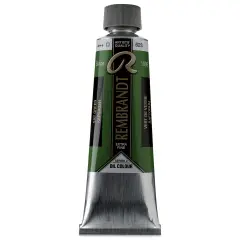 Rembrandt Artists' Oil Color - Sap Green, 150 ml tube