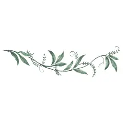 Willow Leaf Vine Wall Stencil | 3025 by Designer Stencils | Floral Stencils |