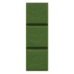 Enkaustikos Wax Snaps Encaustic Paints - Bismuth Green, 40 ml