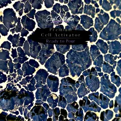 $product['description']['title']}