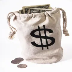 Money Bag Costume Accessory
