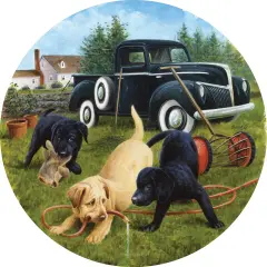Sunsout Garden Helpers 500 pc Round Jigsaw Puzzle 73436