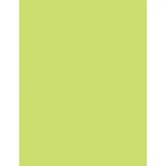 Multi-Purpose Paper, Lime, 8-1/2" x 11", 500 Sheets