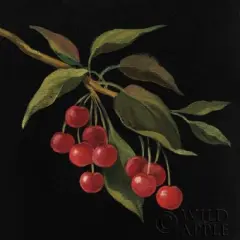 Cerise no Words Poster Print by Silvia Vassileva - Item # VARPDX29208