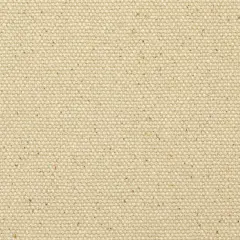 Blick Unprimed Cotton Canvas - Heavyweight Medium-Rough Texture, 60" x 1 yd