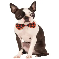 Formal Professor Argyle Bow Tie Pet Collar Dog Costume Accessory