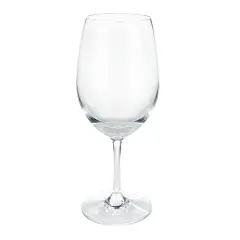 Shatterproof Plastic Wine Glass 