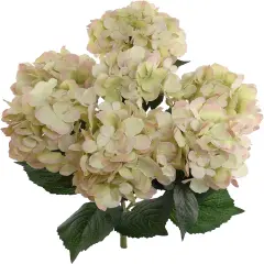 Blooming Bliss: 20" UV Resistant Artificial Silk Green Hydrangea Bush with 14 Sprays - Create a Lush Atmosphere for Your Garden Party and Summer Celebrations, Rain or Shine, Floral Home by Artificial Flowers