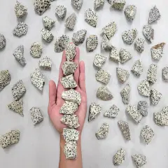 Rough Dalmatian Jasper Stones - Bulk Raw Crystals