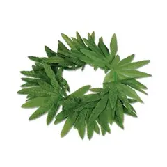 Tropical Fern Leaf Headband (Pack of 12)