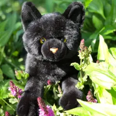 Soft and Cuddly Floppy Black Cat Toy - Perfect for Kids Ages 3 and Up