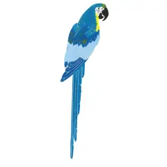 Smaller Macaw Wall Stencil | 2753 by Designer Stencils | Animal & Nature Stencils | Reusable Art Craft Stencils for Painting on Walls, Canvas, Wood | Reusable Plastic Paint Stencil for Home Makeover | Easy to Use & Clean Art Stencil