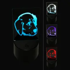 Concerned Golden Retriever Dog Furled Brow 3D Illusion LED Night Light Sign Nightstand Desk Lamp