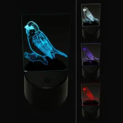 House Sparrow Bird on Branch 3D Illusion LED Night Light Sign Nightstand Desk Lamp
