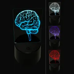 Human Brain with Cerebellum and Medulla Oblongata 3D Illusion LED Night Light Sign Nightstand Desk Lamp